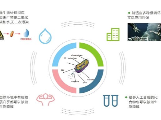 生物除臭劑是什么？