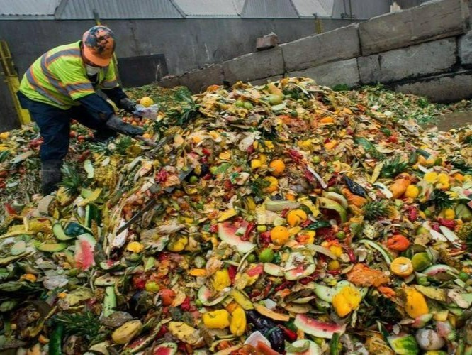 餐廚垃圾用微生物除臭劑：讓生活更美好