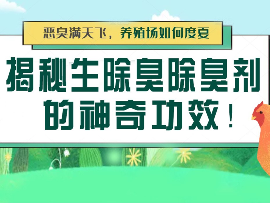 惡臭滿天飛，養(yǎng)殖場如何度夏？揭秘生物除臭劑的神奇功效！